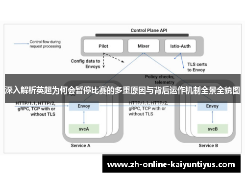 深入解析英超为何会暂停比赛的多重原因与背后运作机制全景全貌图